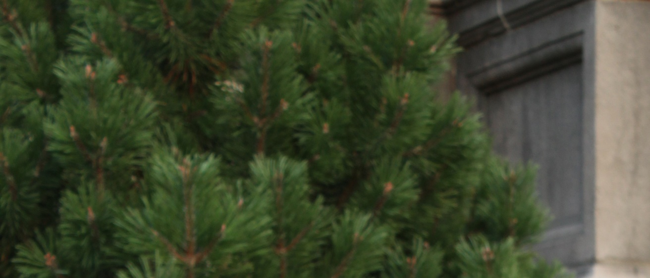 UI Tree and building