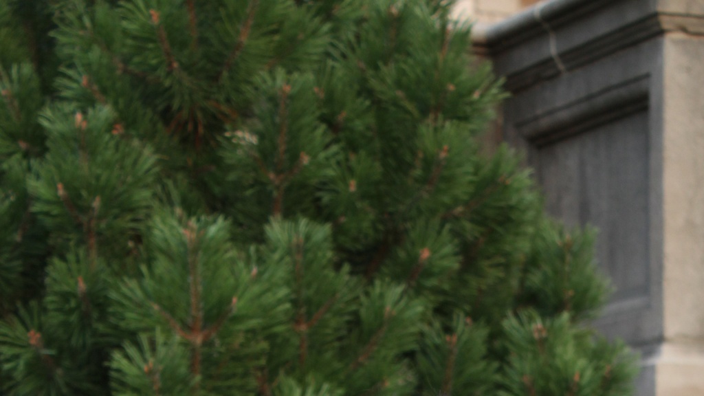UI Tree and building